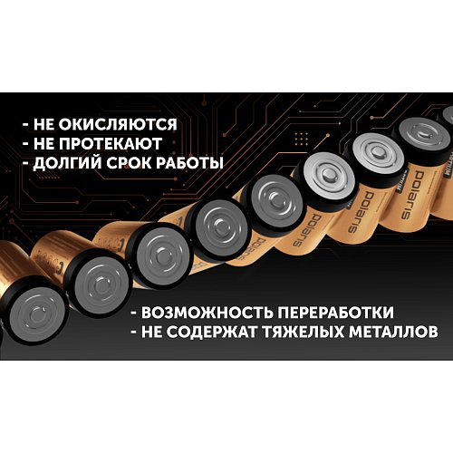 Батарейки лужні Polaris PB LR20 (D) (2шт) OPTIUM фото 5