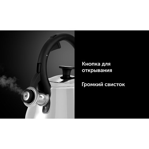 Ысқырғышы бар шайнек Polaris Calido-2,8L фото 11