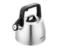 Чайнік са свістком Polaris Graphit-2,5L