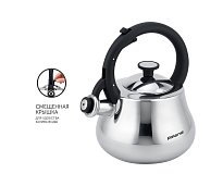Kettle with whistle Polaris Calido-2,8L