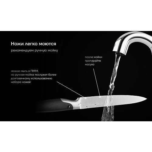 Пышақ жинағы Polaris Graphit-4SS фото 9